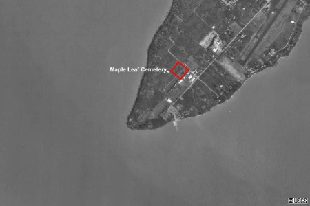 maple_leaf.jpg (30305 bytes)